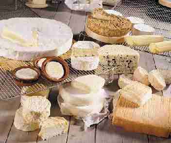 De donde proviene la palabra queso…