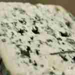 Queso Bleu d’Auvergne