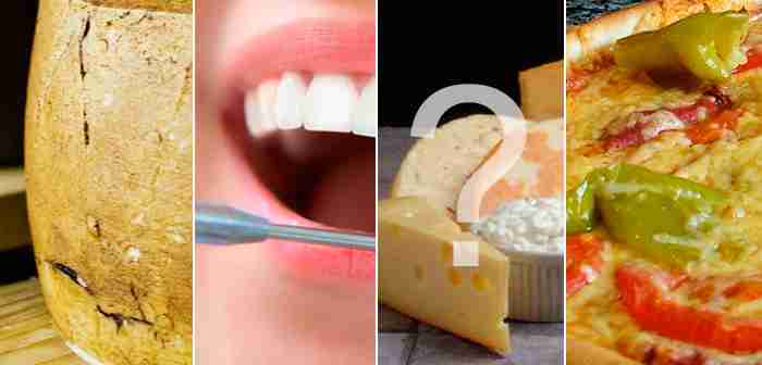 Cuatro curiosidades científicas sobre el queso