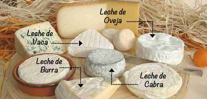 Los 650 quesos más importantes del mundo Tabla de diferentes quesos del mundo