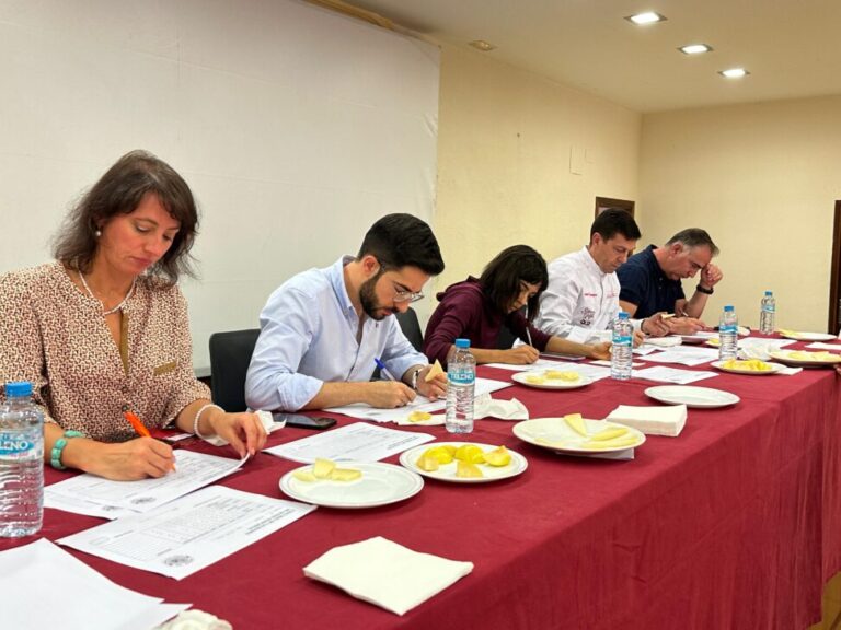 Premiados a la calidad diferenciada en queso Manchego Villa de Malagón