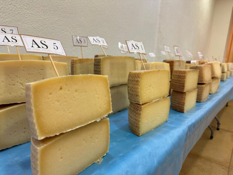Malagón acoge la batalla de los quesos en busca del mejor Queso Manchego