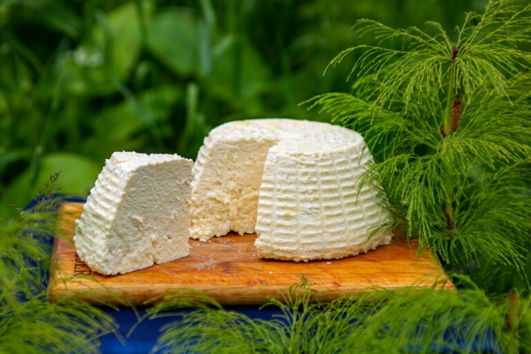 El queso fresco tradicional: pilar de la cultura quesera mediterránea